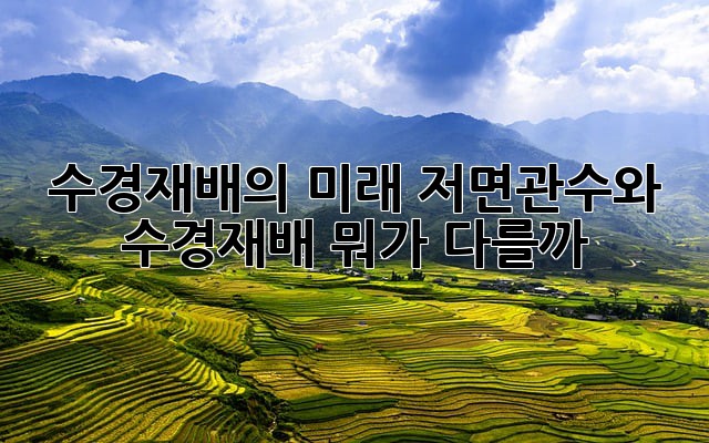 90650f82747e54a63e8d971a6ff893a9.jpg
