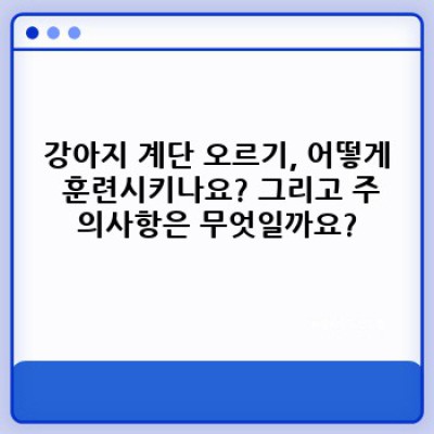 강아지 계단 오르기:  나이, 몸집, 건강에 맞춘 안전하고 효과적인 방법 완벽 가이드