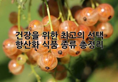 건강을 위한 최고의 선택! 항산화 식품 종류 총정리