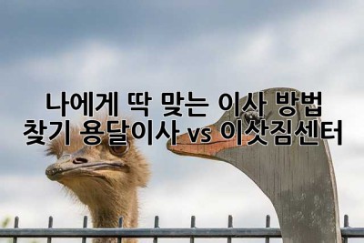 나에게 딱 맞는 이사 방법 찾기: 용달이사 vs 이삿짐센터