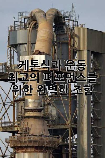 케톤식과 운동: 최고의 퍼포먼스를 위한 완벽한 조합