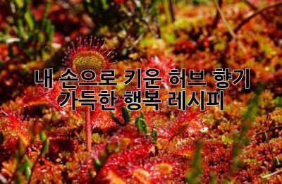내 손으로 키운 허브, 향기 가득한 행복 레시피🌿