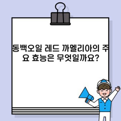 동백오일 레드 까멜리아: 효능, 사용법, 추천 제품 비교분석 완벽 가이드