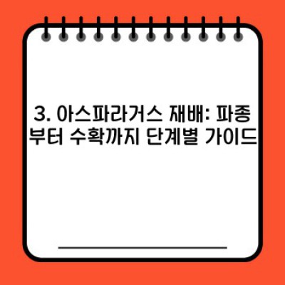 아스파라거스 재배 완전 정복: 장점, 단점, 재배 방법, 수확까지! 성공적인 아스파라거스 키우기 가이드