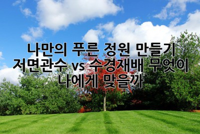 나만의 푸른 정원 만들기: 저면관수 vs 수경재배, 무엇이 나에게 맞을까?