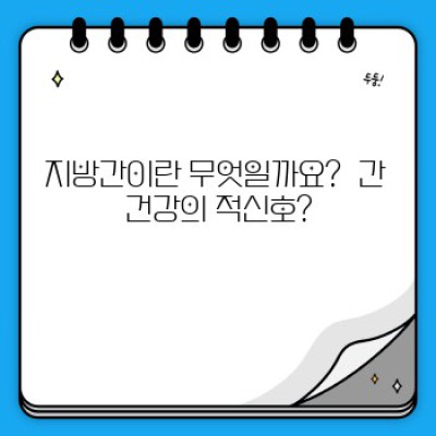 지방간 완벽 가이드: 증상, 원인, 치료 및 예방법