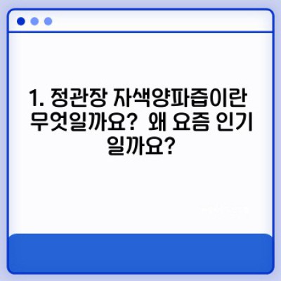 정관장 자색양파즙, 효능부터 부작용까지 완벽 분석: 솔직 리뷰와 구매 가이드