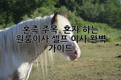 혼족 주목! 📦 혼자 하는 원룸이사, 셀프 이사 완벽 가이드 🚀