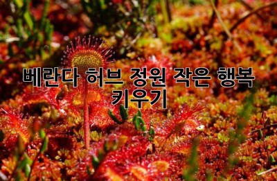 베란다 허브 정원, 작은 행복 키우기🌿