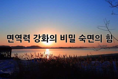 면역력 강화의 비밀: 숙면의 힘
