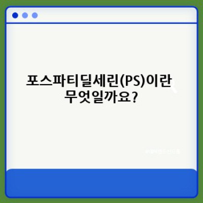 포스파티딜세린 효능: 뇌 건강과 인지 기능 개선을 위한 완벽 가이드