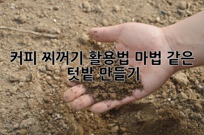 커피 찌꺼기 활용법: 마법 같은 텃밭 만들기!