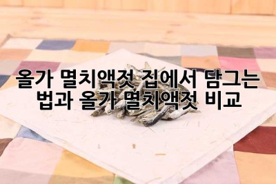 올가 멸치액젓: 집에서 담그는 법과 올가 멸치액젓 비교