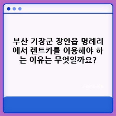 부산 기장군 장안읍 명례리 렌트카 취소 규정 완벽 가이드: 꼼꼼히 확인하고 후회없는 선택하세요!