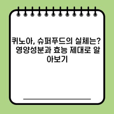 퀴노아 완벽 가이드: 궁금증 해소와 레시피까지!