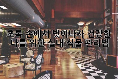 초록 손에서 벗어나자! 건강한 나를 위한 실내 식물 관리법