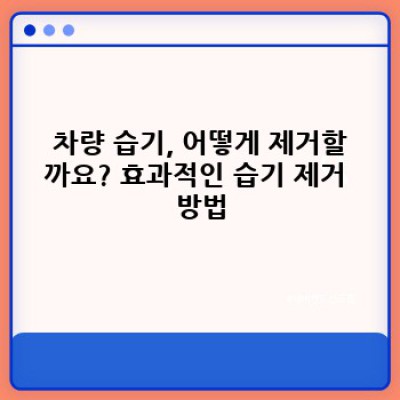 차량습기 제거 완벽 가이드: 원인, 해결책, 예방법 총정리