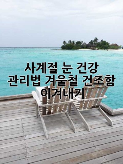 사계절 눈 건강 관리법: 겨울철 건조함 이겨내기
