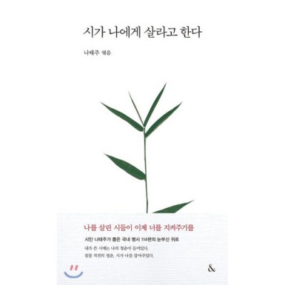 나의 한국 현대사 줄거리? 꿀팁 대방출! ✨
