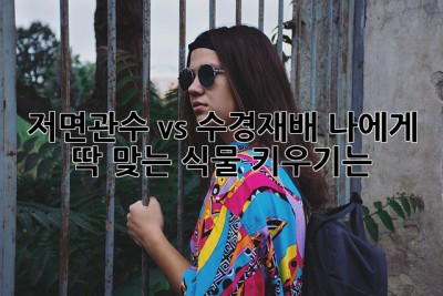 저면관수 vs 수경재배: 나에게 딱 맞는 식물 키우기는?