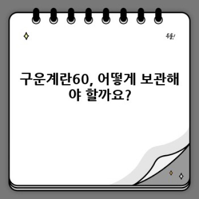 구운계란60: 간편하고 건강한 완벽한 간식, 궁금증 완벽 해결!
