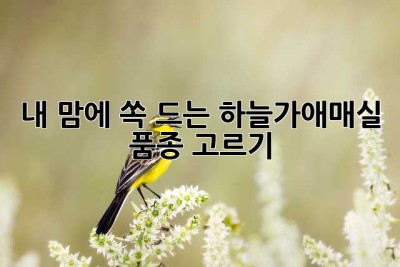 내 맘에 쏙 드는 하늘가애매실 품종 고르기 ✨