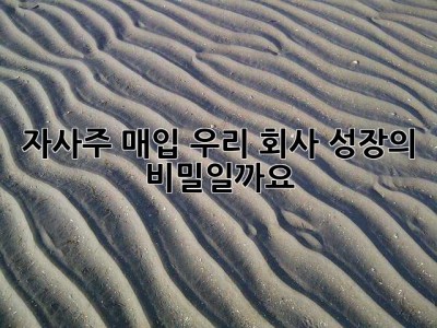자사주 매입, 우리 회사 성장의 비밀일까요? 🤔