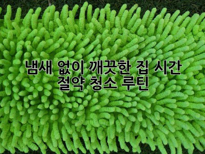 냄새 없이 깨끗한 집, 시간 절약 청소 루틴! ✨