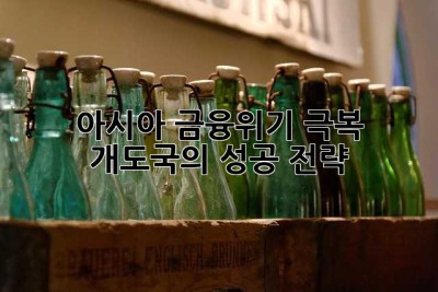 아시아 금융위기 극복: 개도국의 성공 전략