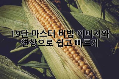 19단 마스터 비법: 이미지와 연상으로 쉽고 빠르게!