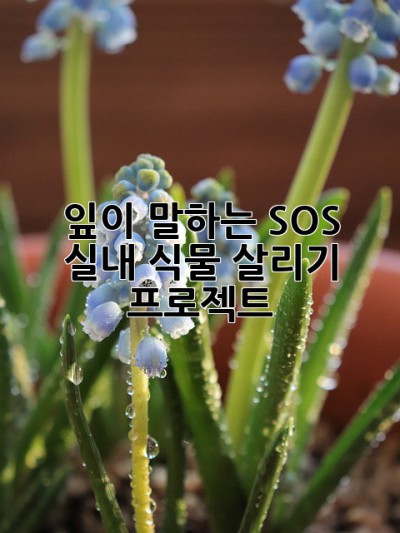 잎이 말하는 SOS!🌿 실내 식물 살리기 프로젝트