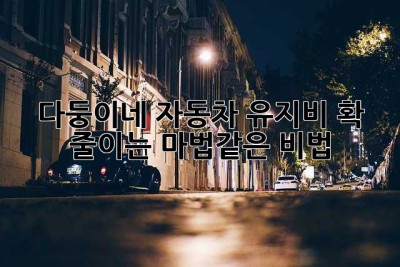 다둥이네 자동차 유지비, 확 줄이는 마법같은 비법! ✨