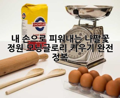 내 손으로 피워내는 나팔꽃 정원: 모닝글로리 키우기 완전 정복!