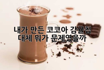 🍊 내가 만든 코코아 감귤칩, 대체 뭐가 문제였을까?