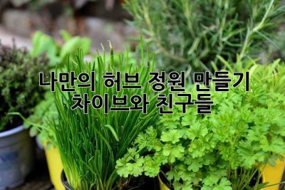 나만의 허브 정원 만들기: 차이브와 친구들🌿