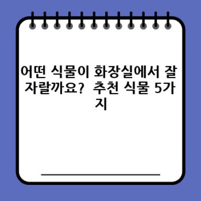 빛 없는 화장실도 OK!  화장실에서 잘 자라는 식물 5가지와 관리법 완벽 가이드