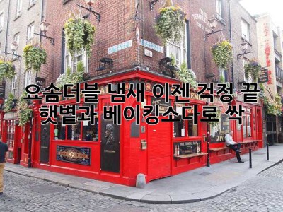 요솜더블 냄새, 이젠 걱정 끝! 햇볕과 베이킹소다로 싹~