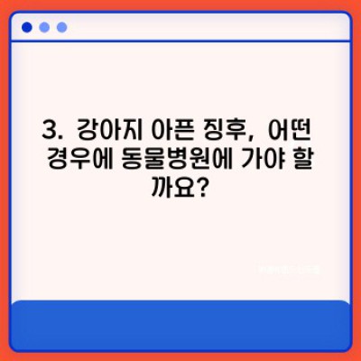 내 강아지가 아파요? 놓치지 말아야 할 강아지 아픈 징후 완벽 가이드