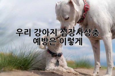 우리 강아지, 심장사상충 예방은 이렇게!
