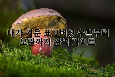 내가 키운 표고버섯, 수확부터 보관까지 완벽 가이드!