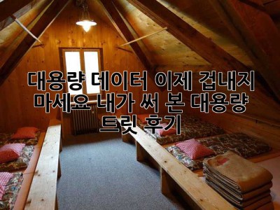 대용량 데이터, 이제 겁내지 마세요! 내가 써 본 대용량 트릿 후기