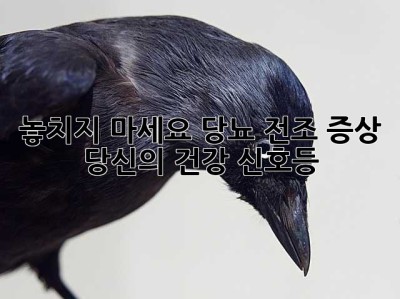 놓치지 마세요! 당뇨 전조 증상, 당신의 건강 신호등 🚦