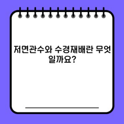 저면관수 vs 수경재배: 식물 재배 방식의 차이점 완벽 정리 및 활용법