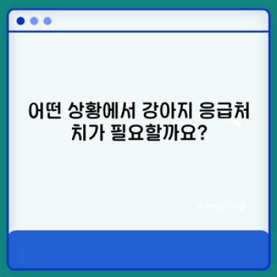 강아지 응급처치 완벽 가이드: 위급 상황 대처법 & 생존율 높이는 방법