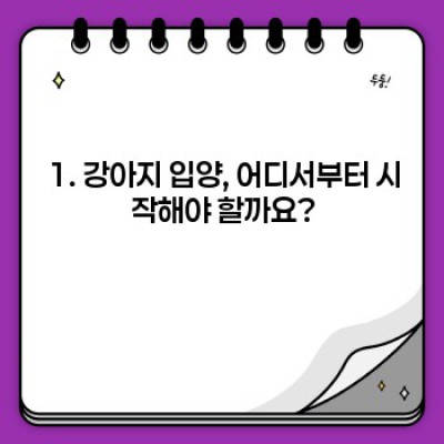 강아지 입양 가이드: 행복한 동행을 위한 완벽한 준비
