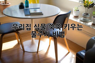 우리집 식물, 쑥쑥 키우는 물주기 비법!