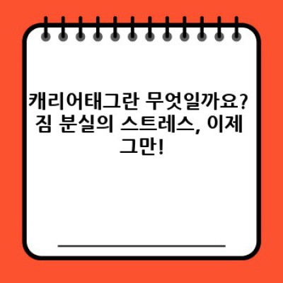 캐리어태그 완벽 가이드: 종류, 선택 방법, 효과적인 활용법까지!