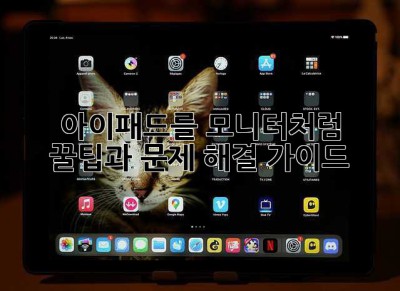 아이패드를 모니터처럼? 꿀팁과 문제 해결 가이드!