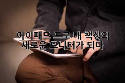 아이패드 프로, 내 책상의 새로운 모니터가 되다!