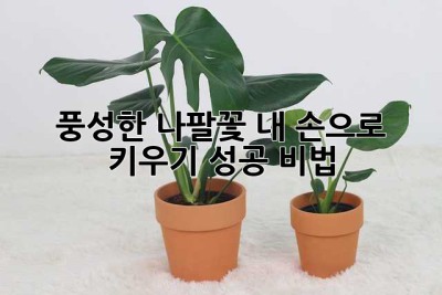 풍성한 나팔꽃, 내 손으로 키우기 성공 비법!